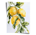 Poster Zitronen in Aquarellkunst - WORLD OF POSTER